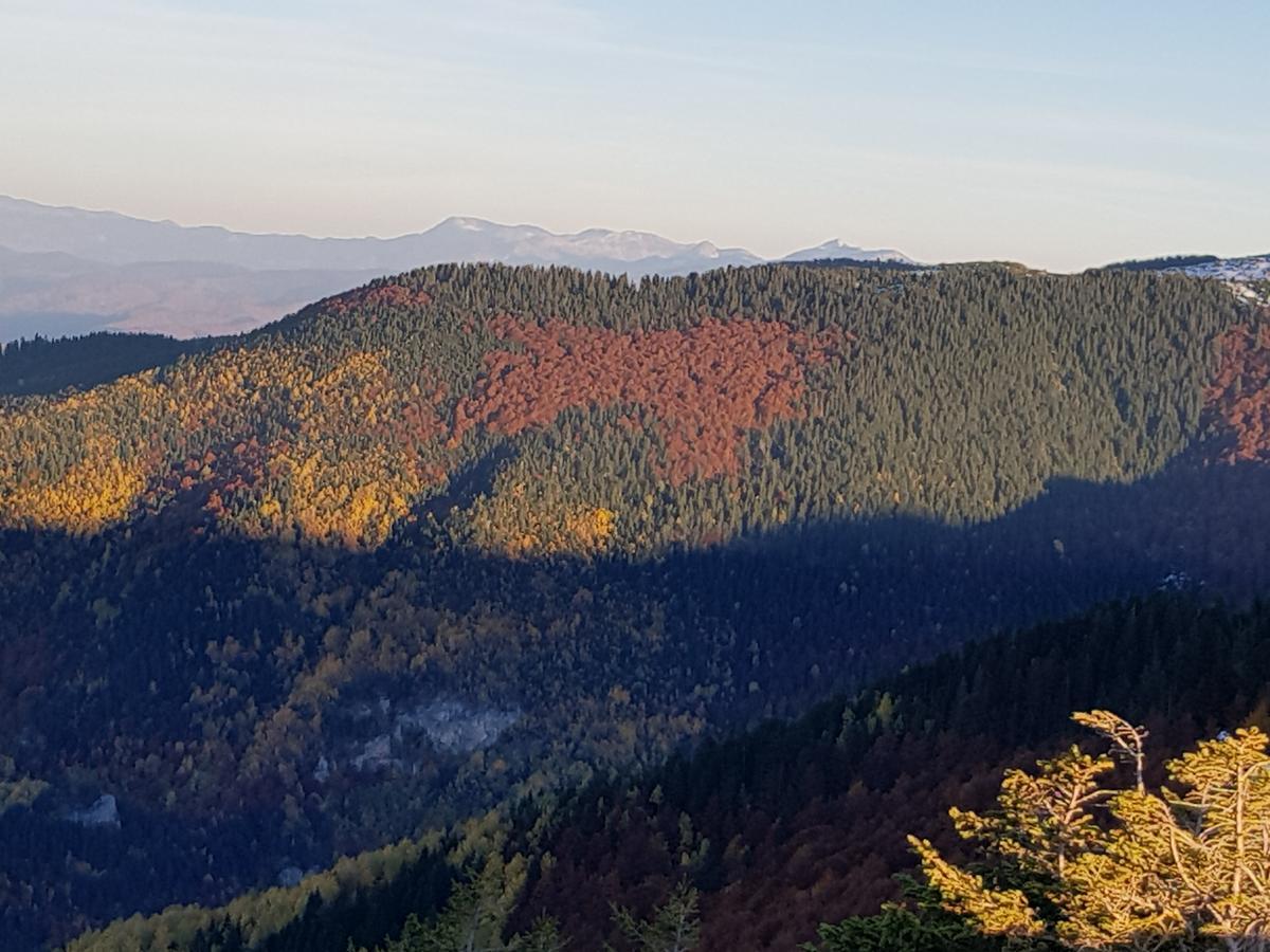 Hotel Dvor Bijelo Polje Exteriör bild